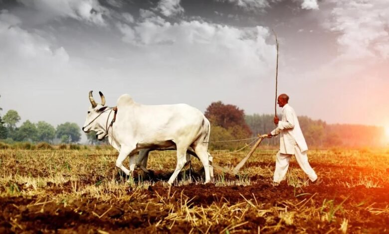 ఏపీ రైతులకు బిగ్ గుడ్‌న్యూస్.. ఆర్గానిక్ వ్యవసాయానికి రాష్ట్రవ్యాప్తంగా కొత్త పథకం